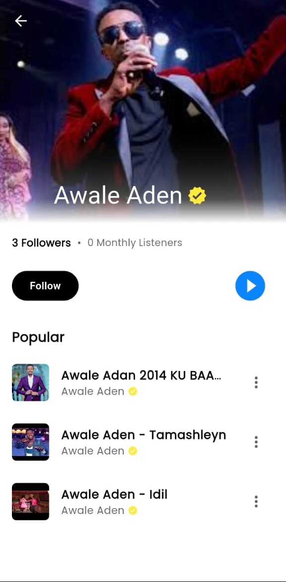 Artist Profile